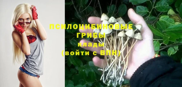 MDMA Premium VHQ Богородицк