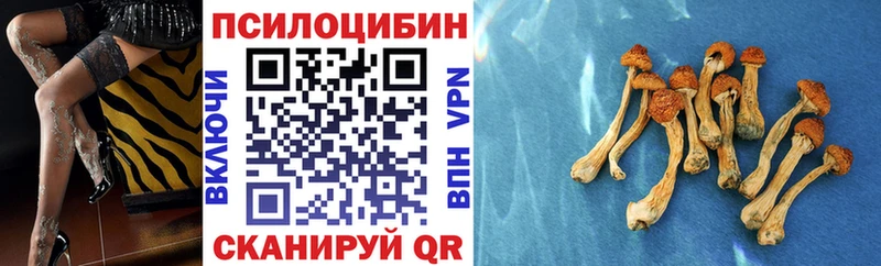 Псилоцибиновые грибы Magic Shrooms  купить   Мытищи 