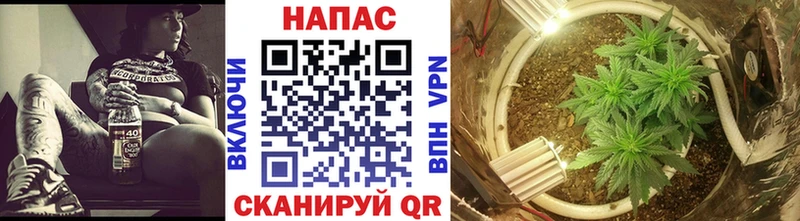 магазин продажи наркотиков  Мытищи  Канабис планчик 